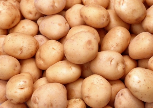 Как появился картофель в России